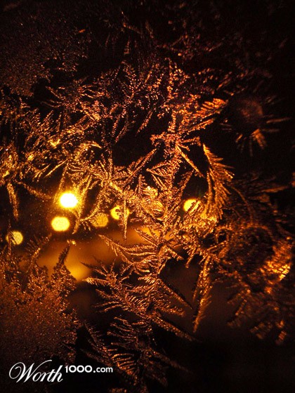 Photography by glacierpro