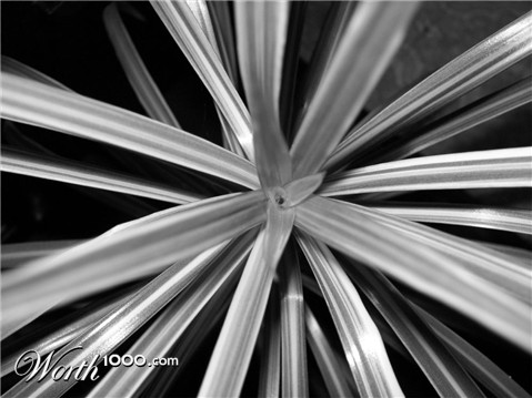 Photography by THESHADOWMASTER77