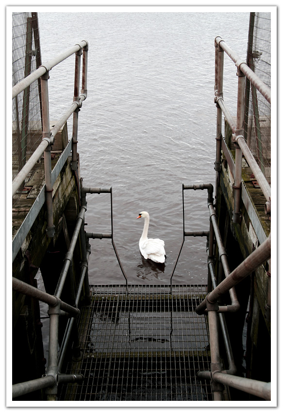 Fotografie von SigloV für DesignCrowd (Community Contests) | Design #8954058