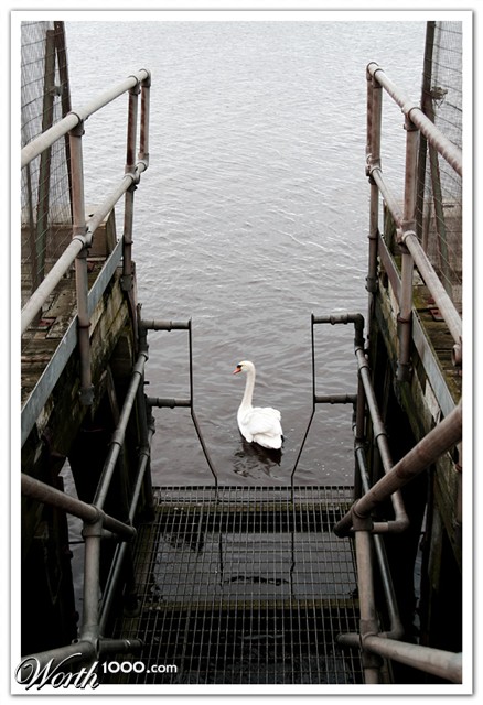 Photography by SigloV