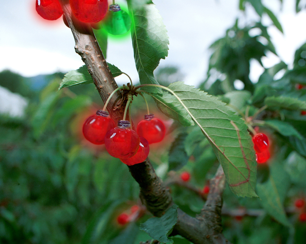 Photoshop Design by designereye for DesignCrowd (Community Contests) | Design #8955325