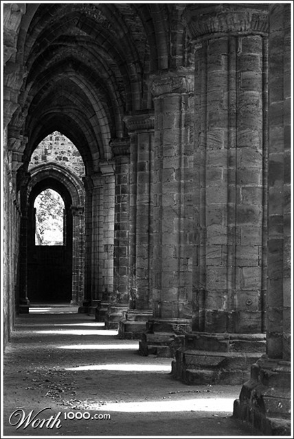 Photography by wiggster