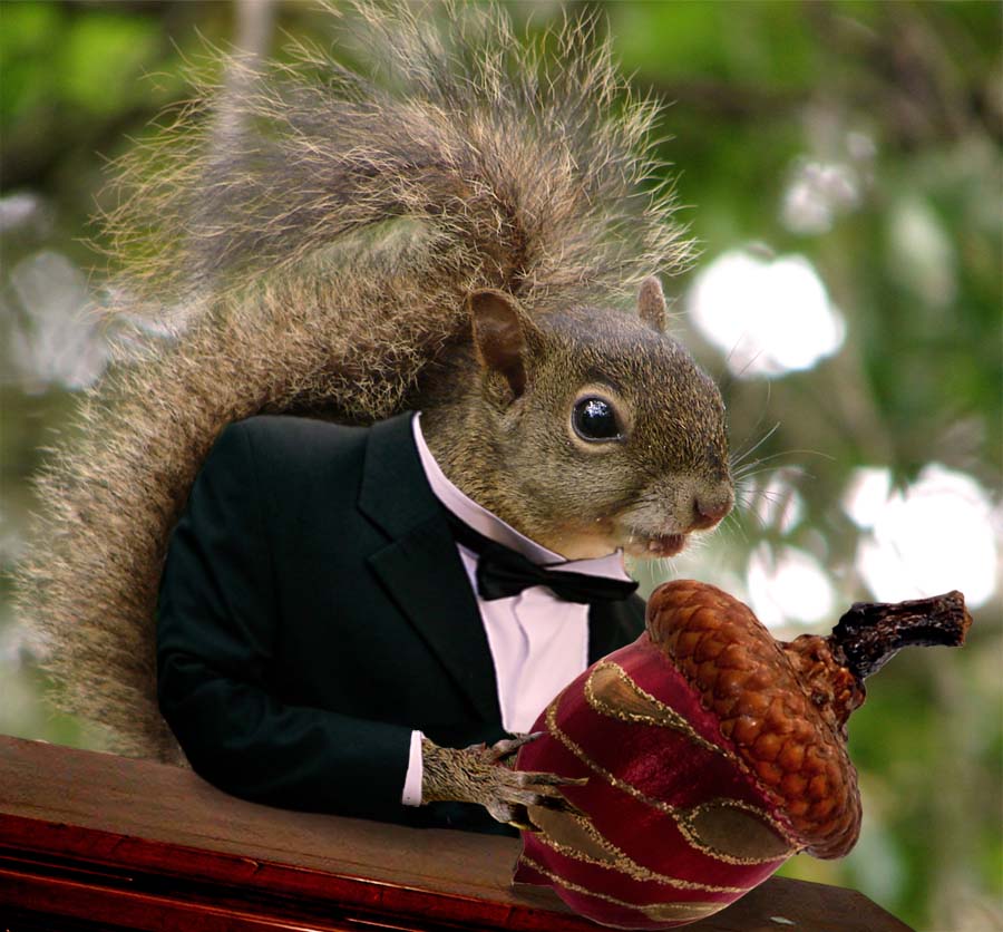 Photoshop Design by castiza for DesignCrowd (Community Contests) | Design #8955340