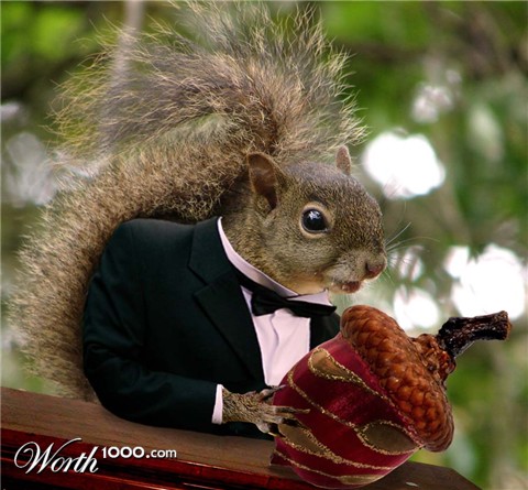 Photoshop Design by castiza