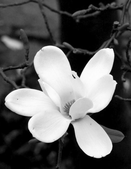 Photography by Markb120 for DesignCrowd (Community Contests) | Design #8956202