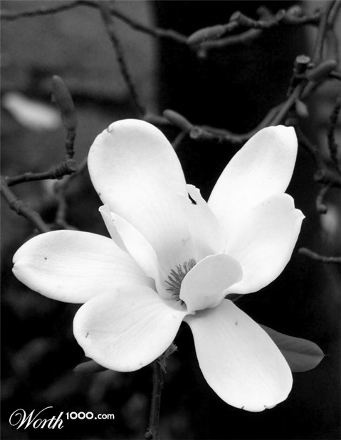 Photography by Markb120