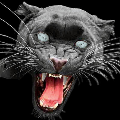 Diseño de Photoshop por THESHADOWMASTER77 para DesignCrowd (Community Contests) | Diseño #8948817