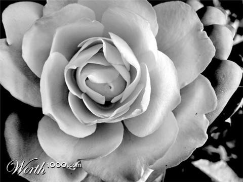 Photography by killher8