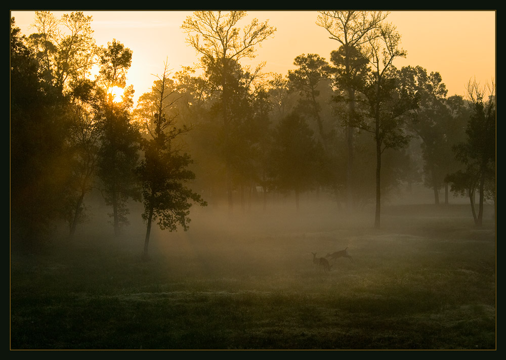 Photography by Fishcat for DesignCrowd (Community Contests) | Design #8955157