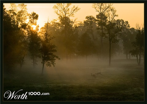 Photography by Fishcat