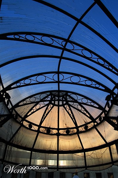 Photography by xalison