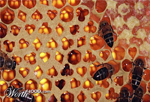 Photoshop Design by urnmns