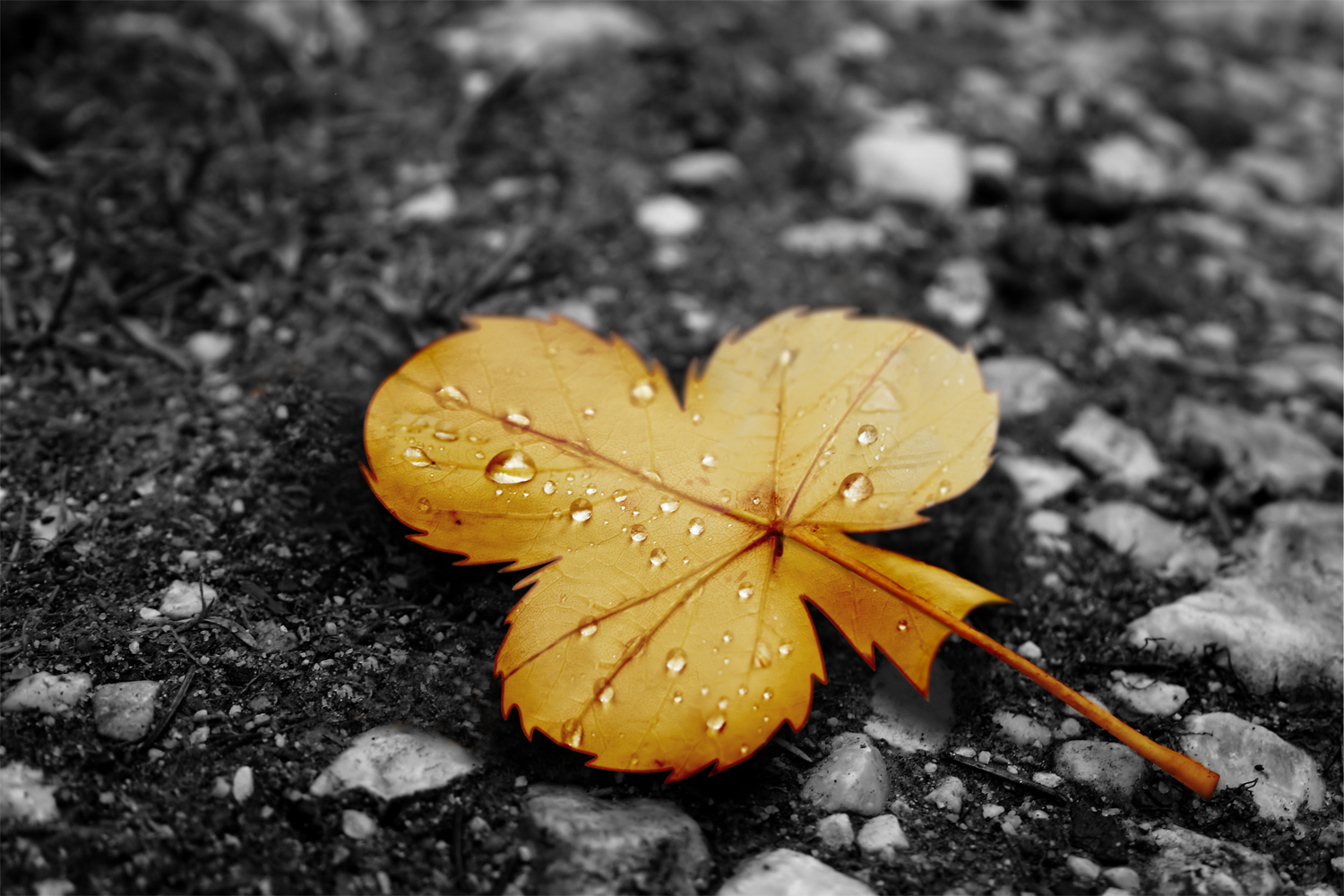 Photoshop Design by hola3d for DesignCrowd (Community Contests) | Design #8954778