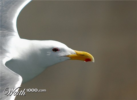 Photography by margold