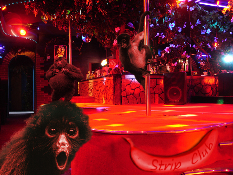 Photoshop Design by Arathorn for DesignCrowd (Community Contests) | Design #8955900