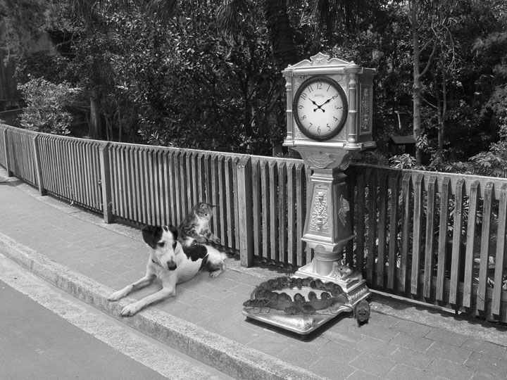 Diseño de Photoshop por NuckleBerry6 para DesignCrowd (Community Contests) | Diseño #8948868