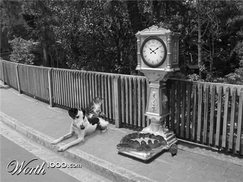 Photoshop Design by NuckleBerry6