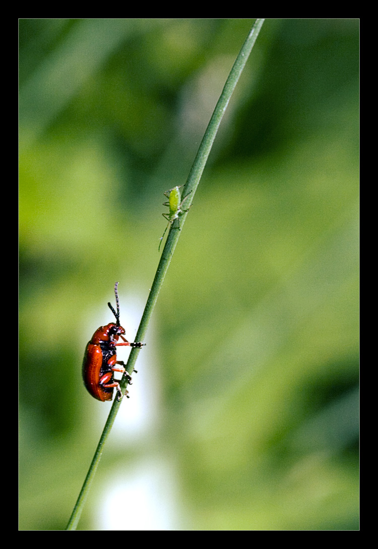 Photography by secretatlantis for DesignCrowd (Community Contests) | Design #8954136