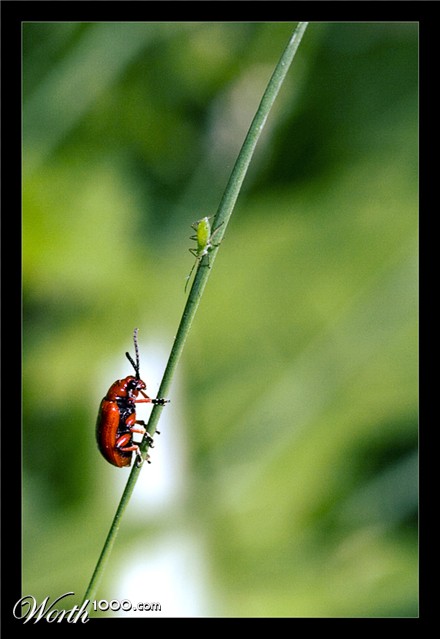 Photography by secretatlantis