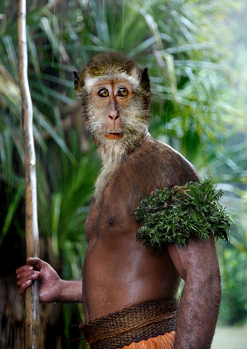 Diseño de Photoshop por Stella63 para DesignCrowd (Community Contests) | Diseño #8955954