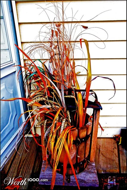 Photography by ama168