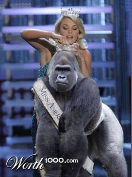 Photoshop Design by braingler314