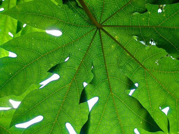 Photography by AUGUST for DesignCrowd (Community Contests) | Design #8952047