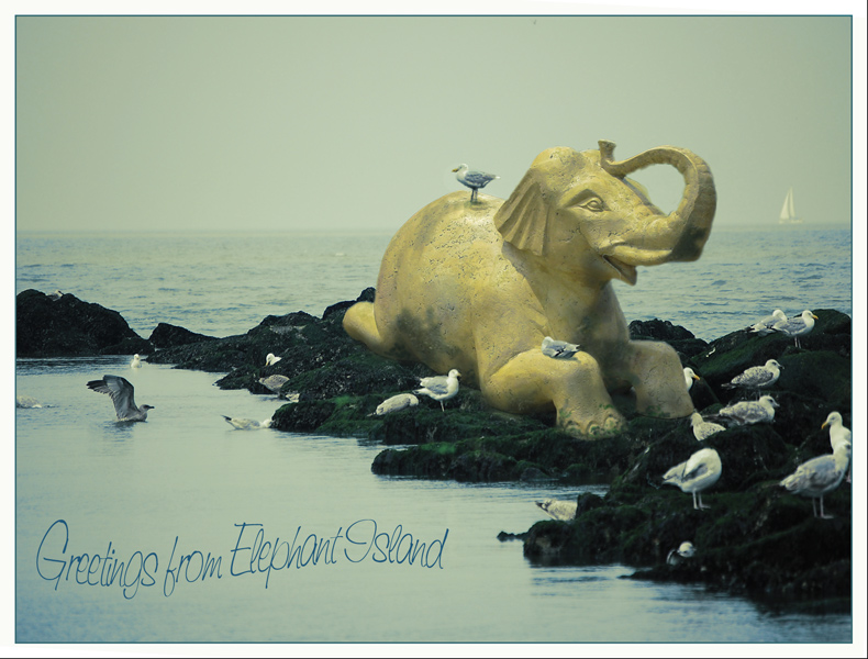 Photoshop Design by marymagdalyne for DesignCrowd (Community Contests) | Design #8952909