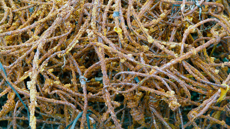 Photography by cemaydin for DesignCrowd (Community Contests) | Design #8952055