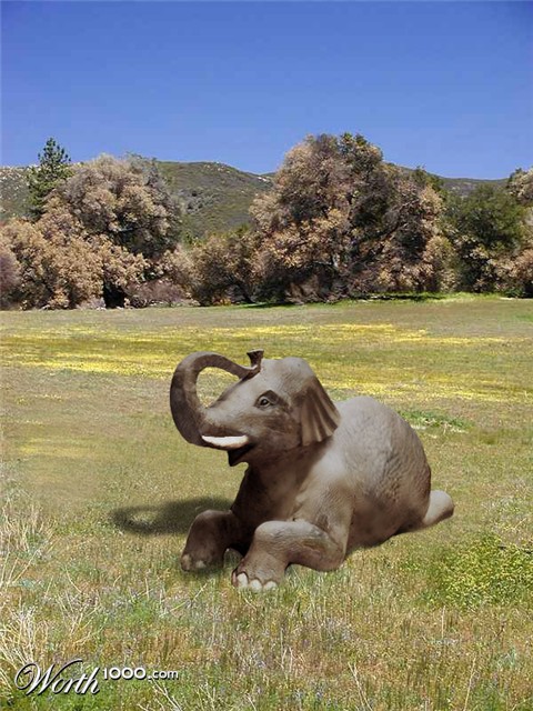 Photoshop Design by bkhikkin