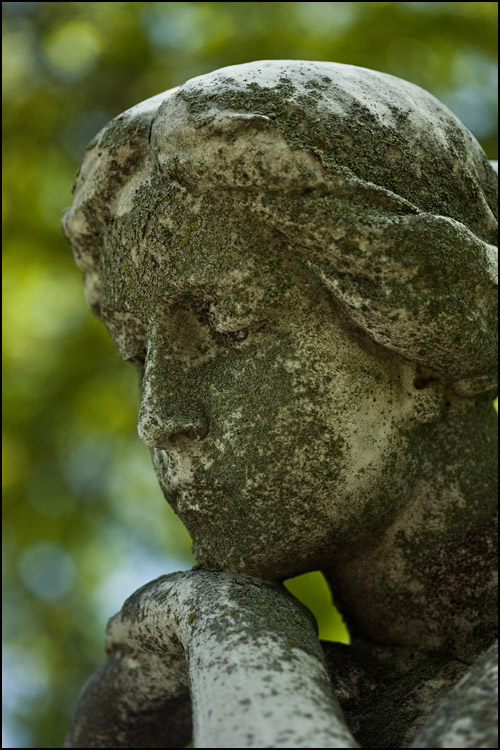 Photography by corgijump for DesignCrowd (Community Contests) | Design #8952068