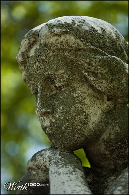 Photography by corgijump