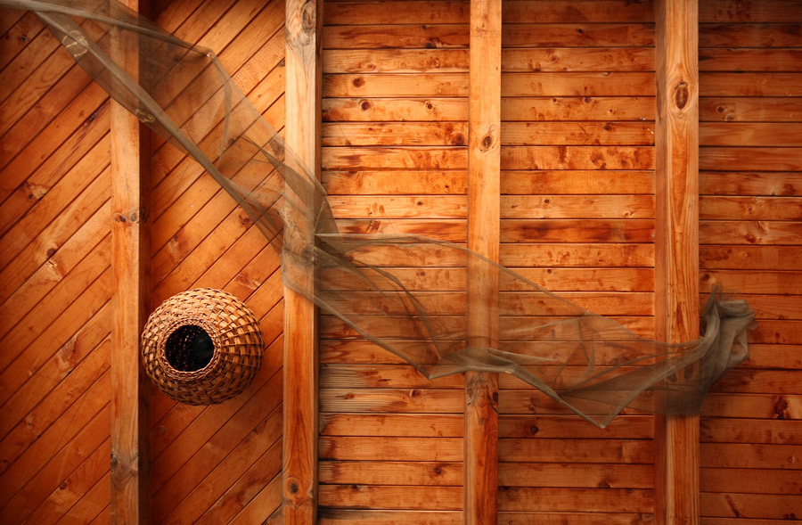 Photography by Nomnom for DesignCrowd (Community Contests) | Design #8952071
