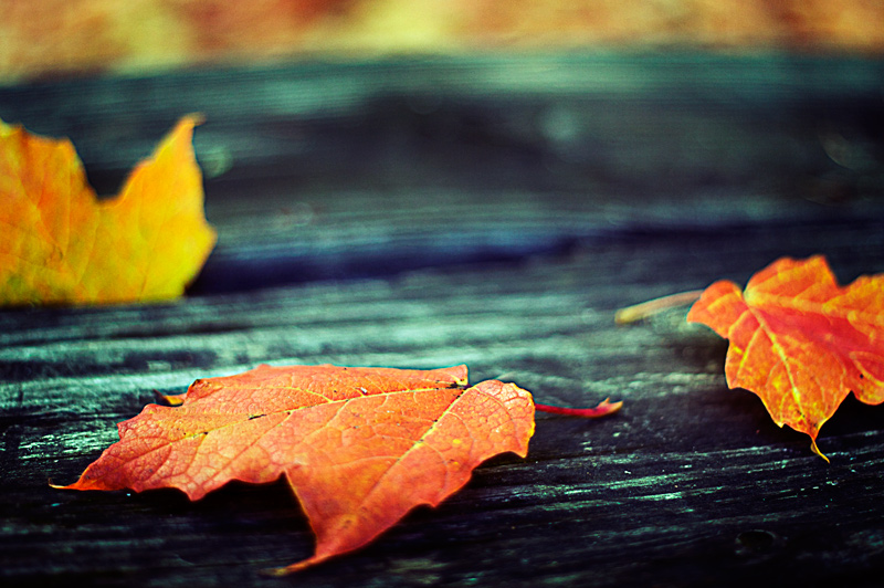 Photography by quandri for DesignCrowd (Community Contests) | Design #8951541
