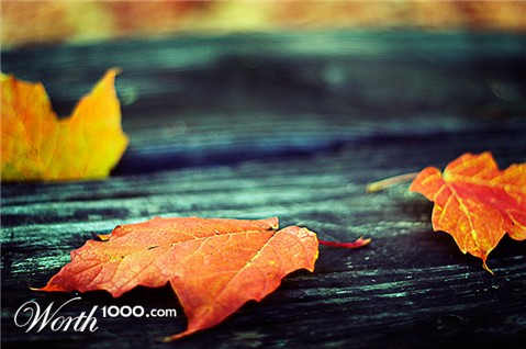 Photography by quandri