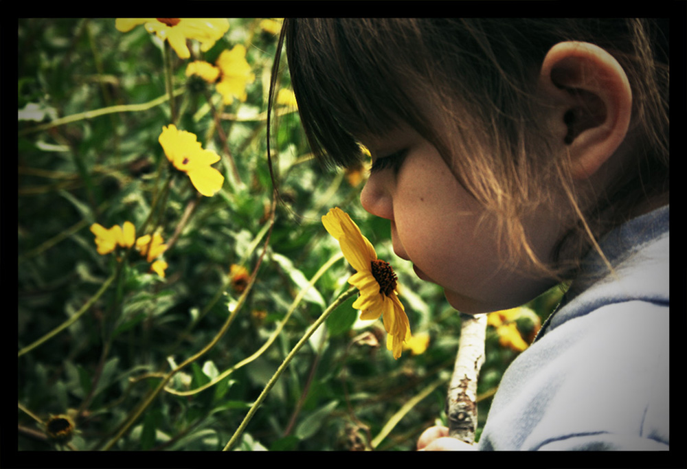 Photography by herta28 for DesignCrowd (Community Contests) | Design #8951530