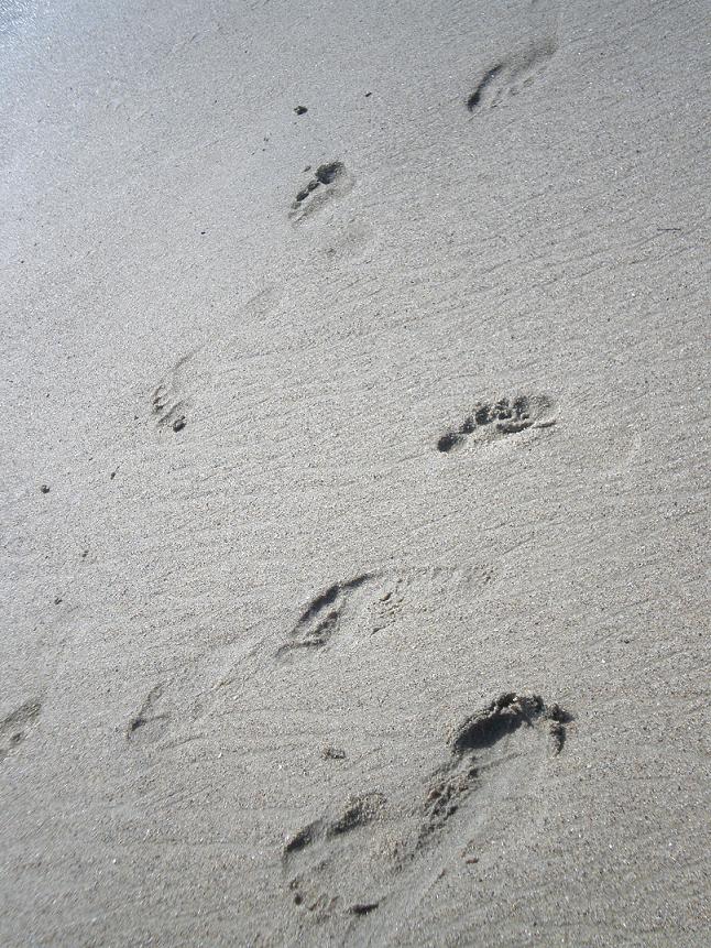 Photography by bestpicturesever for DesignCrowd (Community Contests) | Design #8952112