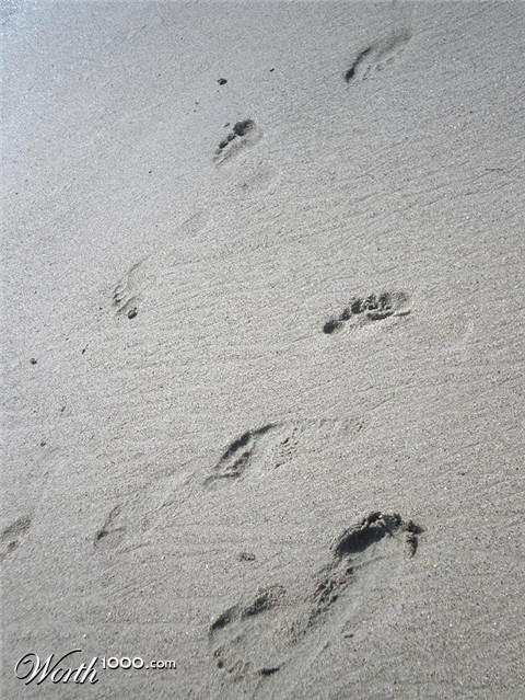 Photography by bestpicturesever