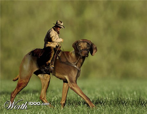 Photoshop Design by designfreaky