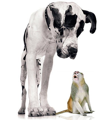 Design Photoshop par djtrickz pour DesignCrowd (Community Contests) | Design #8950403