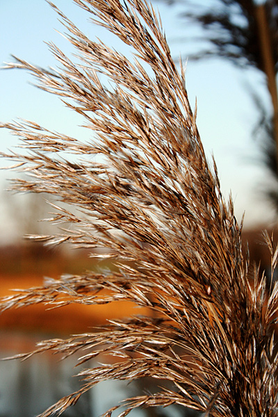 Photography by BBBastet for DesignCrowd (Community Contests) | Design #8952096