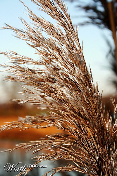 Photography by BBBastet