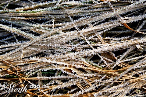 Photography by BBBastet