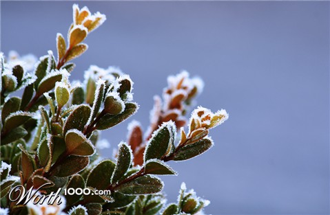 Photography by ZZonee