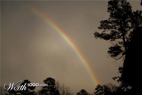 Photography by ChrisCo529