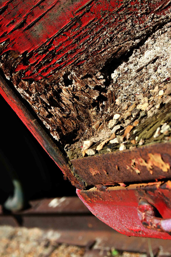 Photography by thravens for DesignCrowd (Community Contests) | Design #8952121