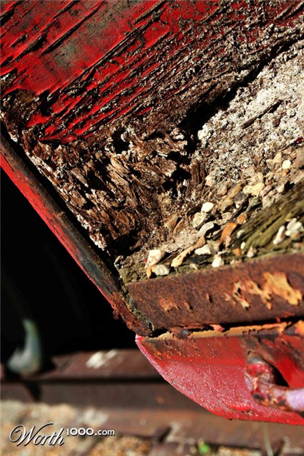 Photography by thravens