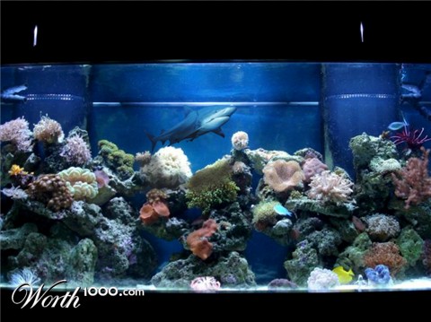 Photoshop Design by visualX