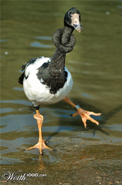 Photoshop Design by kwize53