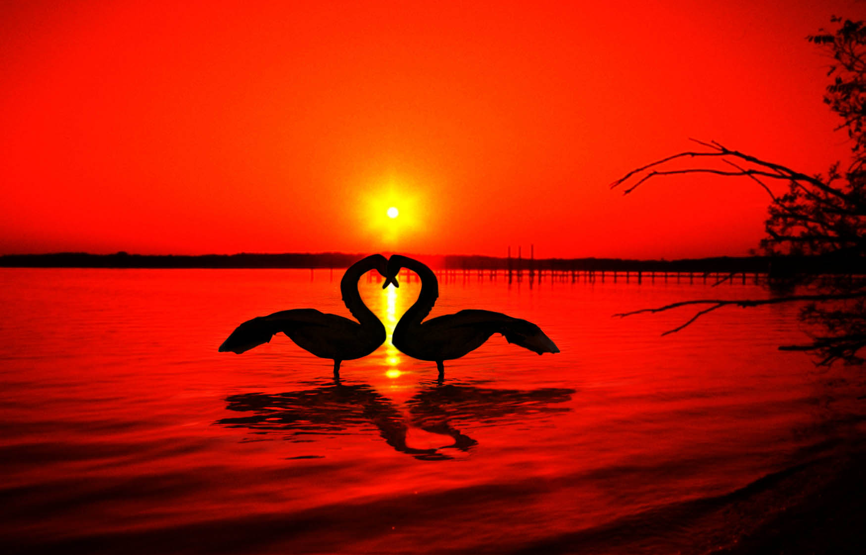 Design Photoshop par urnmns pour DesignCrowd (Community Contests) | Design #8948293